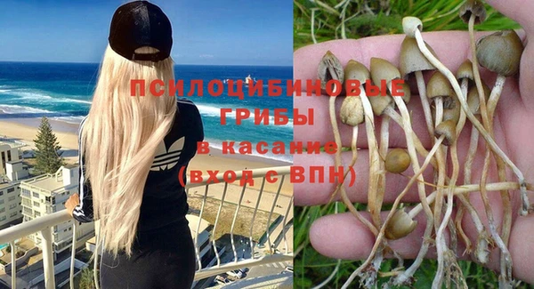 jwh Каменск-Шахтинский