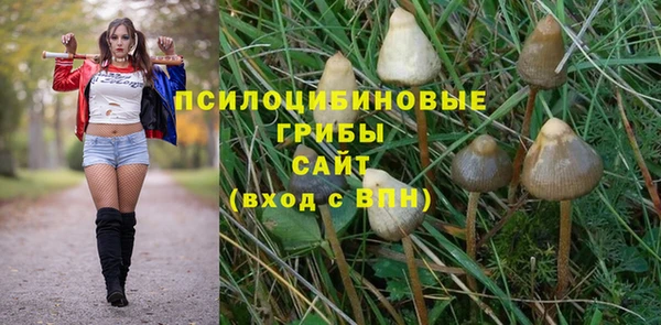 гашишное масло Каменка